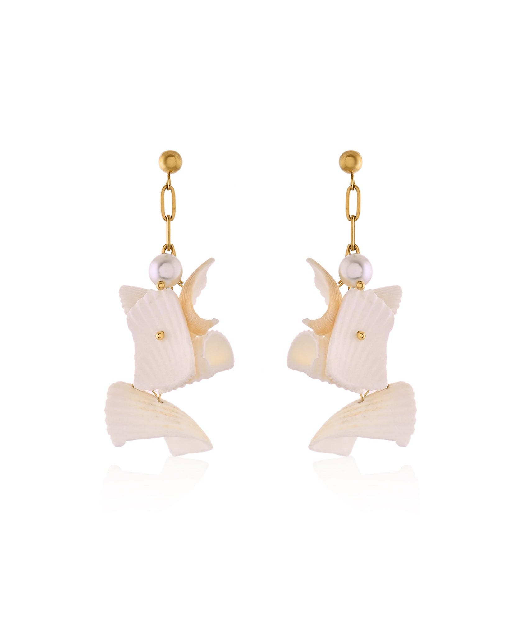 Sea Shell Dangle Earrings