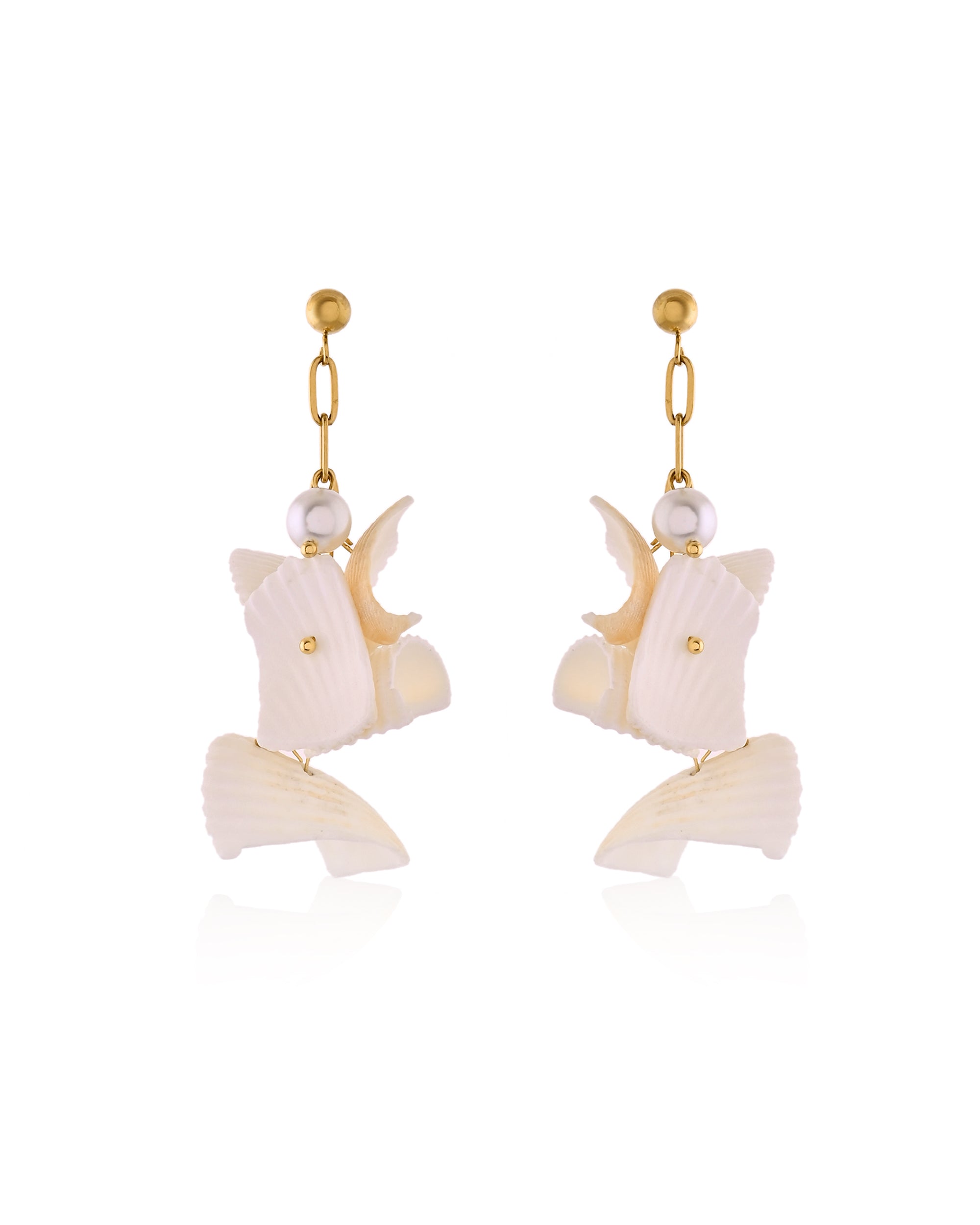 Sea Shell Dangle Earrings