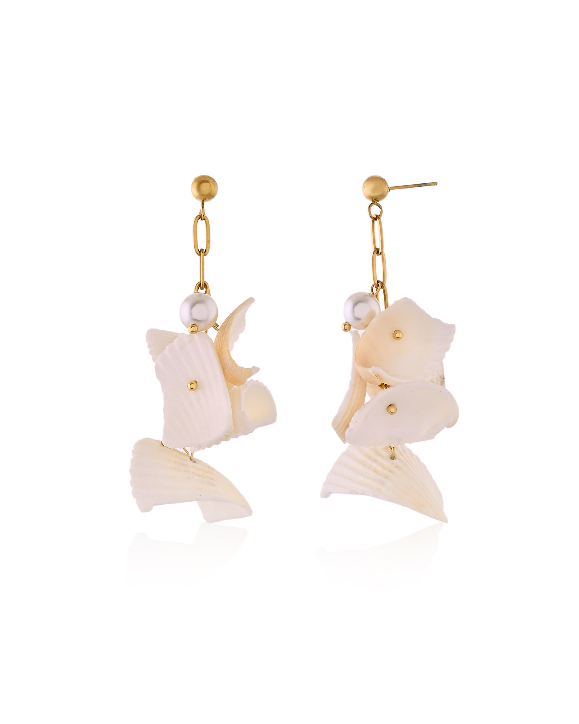 Sea Shell Dangle Earrings