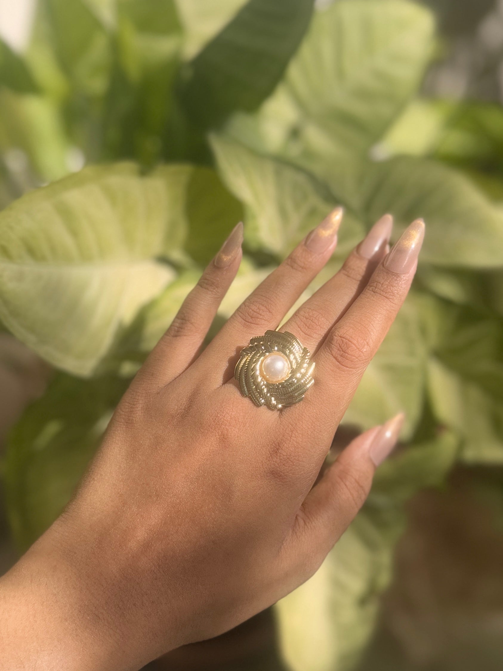 Chakkri Ring